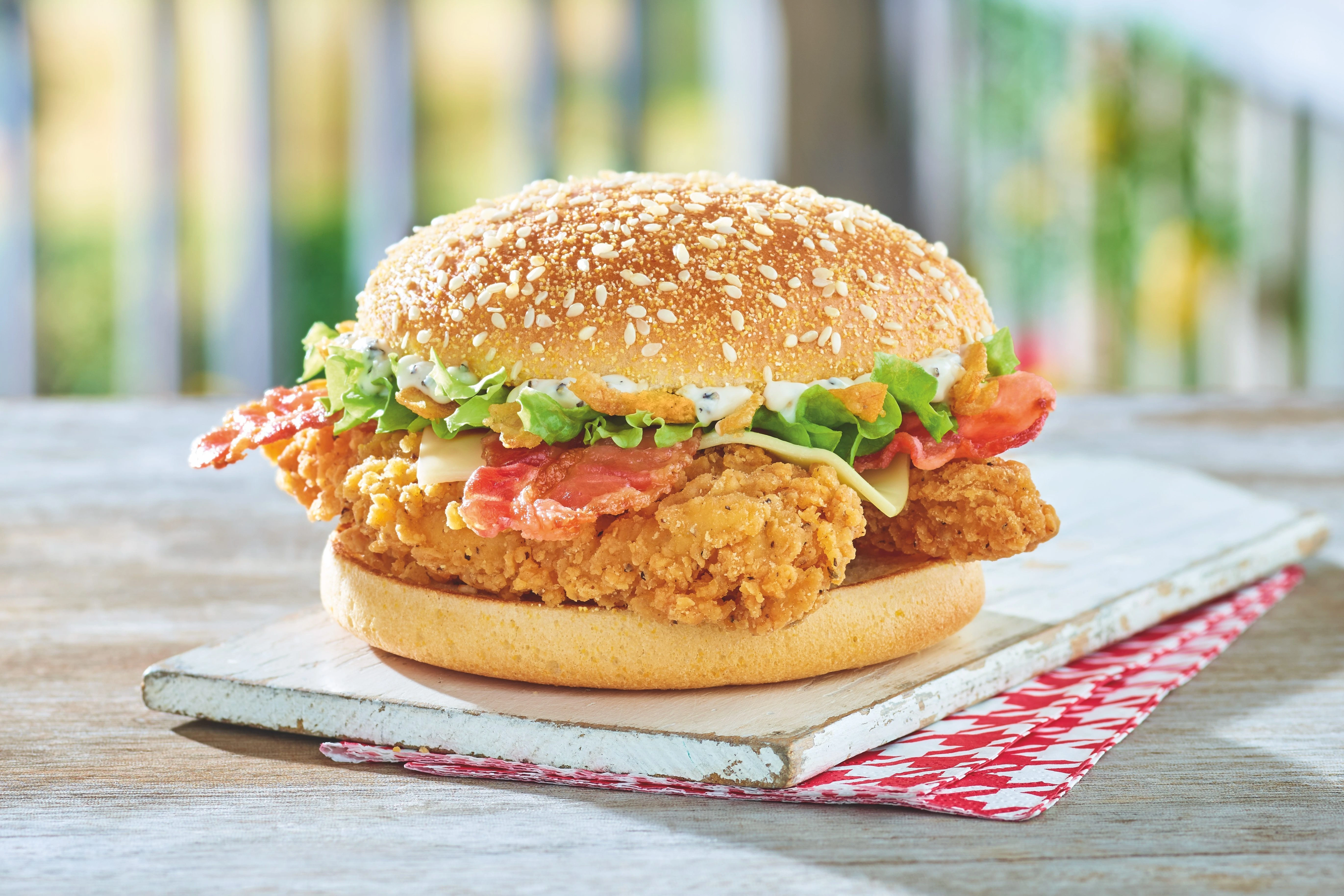 Septic Cleaning Icon